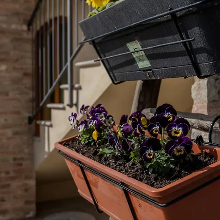 Be Langhe In Monforte - Di Cascina Monforte dʼAlba