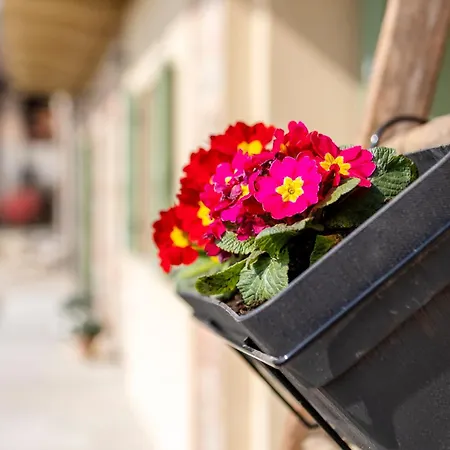 Be Langhe In Monforte - Di Cascina 3*