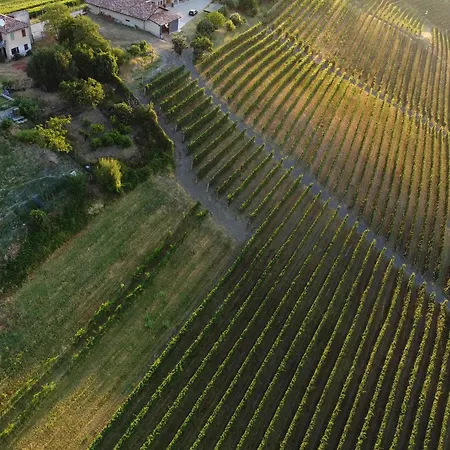Pensión Be Langhe In Monforte - Di Cascina 3*