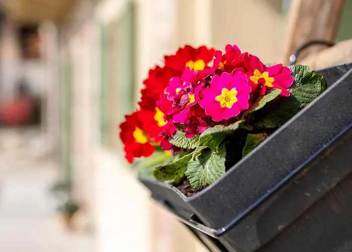 Be Langhe Monforte - Di Cascina 3*